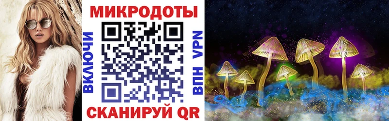 закладка Ковылкино Галлюциногенные грибы GOLDEN TEACHER