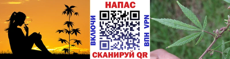 Канабис индика  Ковылкино 